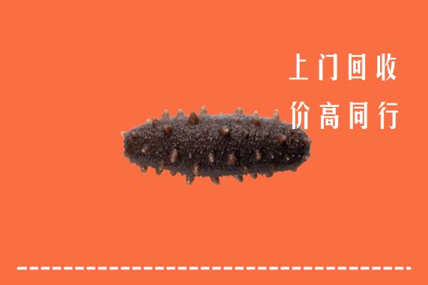 鸡西市回收海参