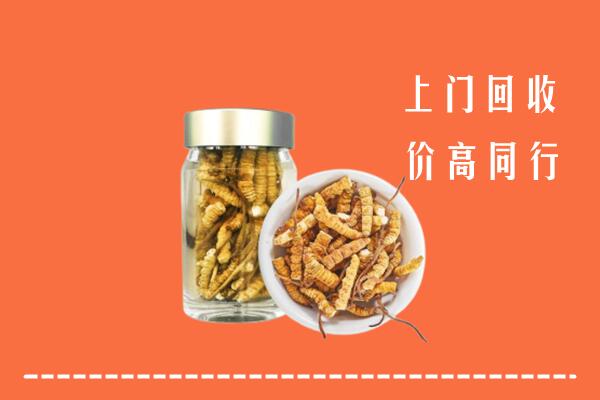 鸡西市回收冬虫夏草