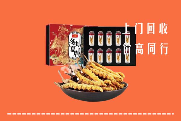 鸡西市回收虫草